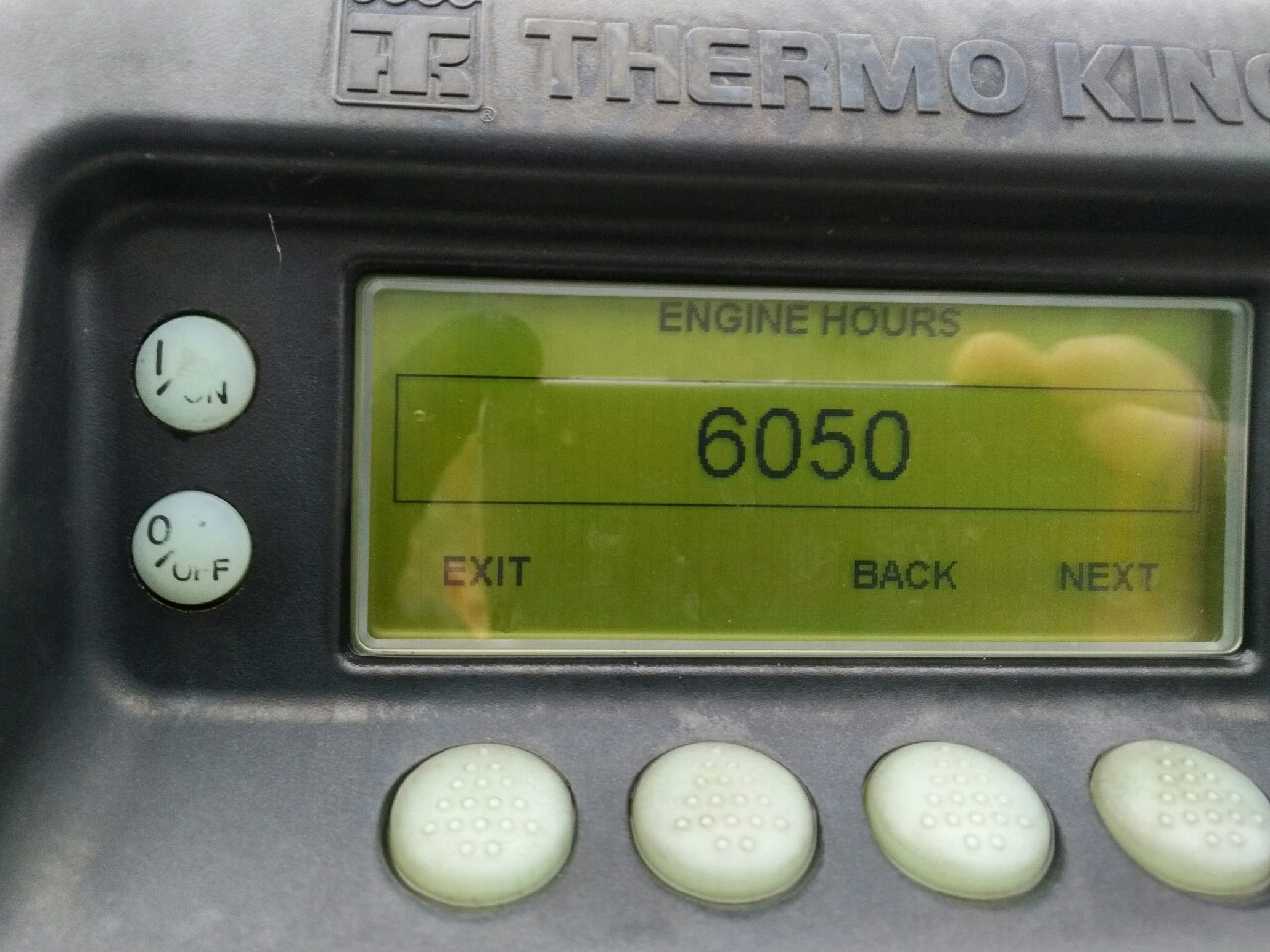 City køletrailer m/ opretstående lift